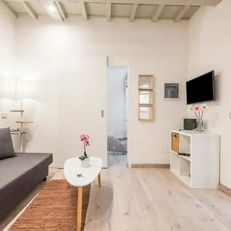 Cozy Near Ponte Vecchio * 佛罗伦萨