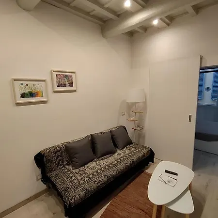 Apartment Cozy Near Ponte Vecchio Florence